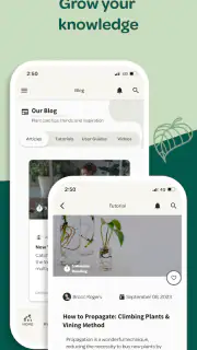 Willow screenshot 6