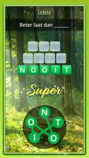 Woordspel - Word Tour screenshot 8