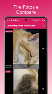 Agenda Capilar e Facial screenshot 4