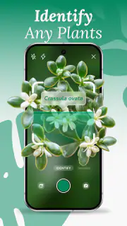 AI Plant Identifier & Care screenshot 1