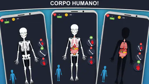 Anato Trivia - Quiz Anatomía screenshot 2