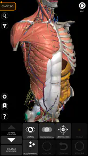 Anatomia - Atlas 3D screenshot 1