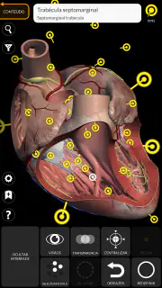 Anatomia - Atlas 3D screenshot 3