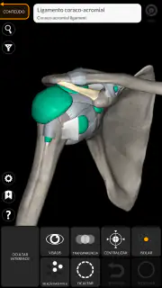 Anatomia - Atlas 3D screenshot 4