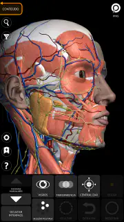 Anatomia - Atlas 3D screenshot 6