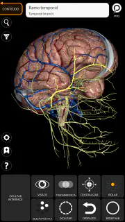 Anatomia - Atlas 3D screenshot 7