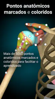 Anatomy Learning - Anatomia 3D screenshot 3