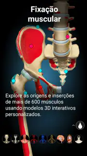 Anatomy Learning - Anatomia 3D screenshot 4