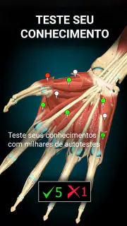 Anatomy Learning - Anatomia 3D screenshot 5