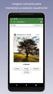 Aprender Vocabulário Espanhol screenshot 4