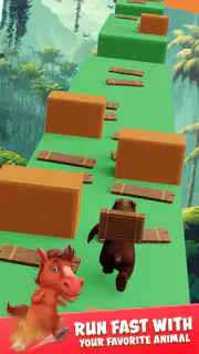 Aventura Animal & Coins screenshot 2