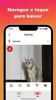 Baixar vídeos e fotos Ins screenshot 3