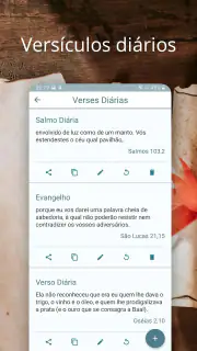 Bíblia Ave Maria screenshot 3