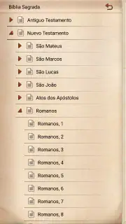 Bíblia Católica Ave Maria screenshot 3