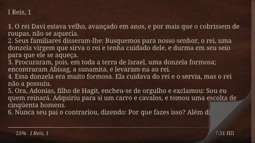 Bíblia Católica Ave Maria screenshot 8