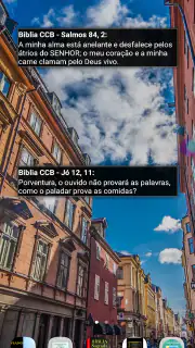 Bíblia CCB + Estudo screenshot 5
