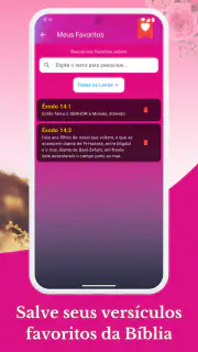 Bíblia da Mulher Harpa Áudio screenshot 8