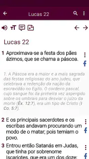 Bíblia de estudo pregai audio screenshot 4