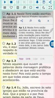Bíblia Narrada (Cid Moreira) screenshot 4