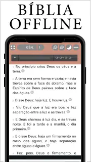 Bíblia para Mulher screenshot 1