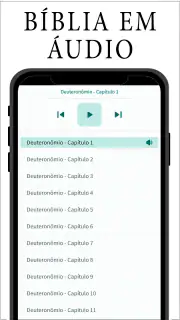 Bíblia para Mulher screenshot 3