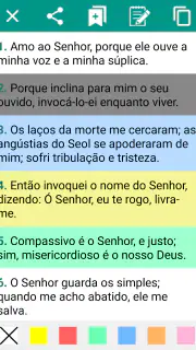 Bíblia Sagrada Estudos screenshot 2