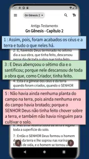 Bíblia Sagrada NVI screenshot 4