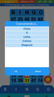 Bingo Grandioso screenshot 3