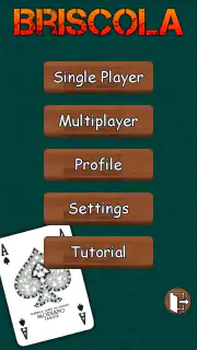 Bisca screenshot 1