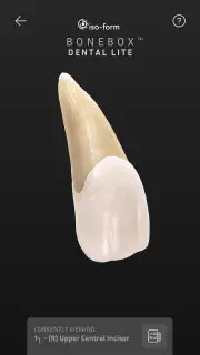BoneBox™ - Dental Lite screenshot 3