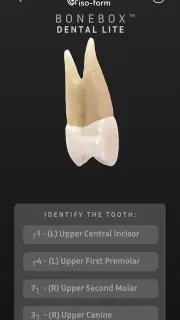 BoneBox™ - Dental Lite screenshot 4