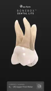 BoneBox™ - Dental Lite screenshot 6