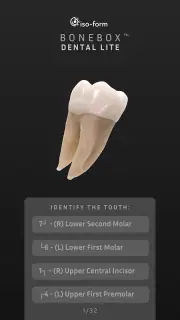 BoneBox™ - Dental Lite screenshot 7