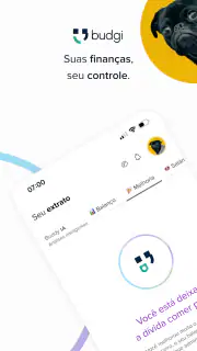 budgi: Finanças com IA screenshot 1
