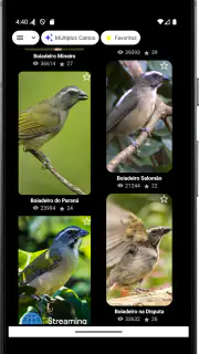 Cantos de Trinca Ferro Pro screenshot 1