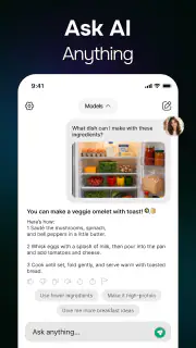 ChatGO powered Chat português screenshot 2