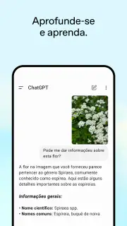 ChatGPT screenshot 4