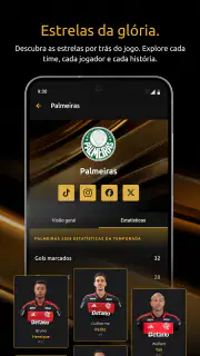 CONMEBOL Libertadores screenshot 5