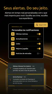 CONMEBOL Libertadores screenshot 6