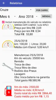 Consumo de Combustível screenshot 6