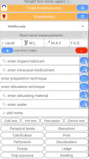 Cusp Dental Software screenshot 4