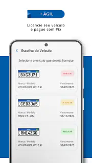Detran-SP screenshot 6
