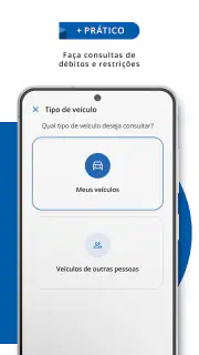Detran-SP screenshot 7