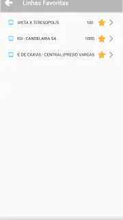 Detro Meu Ônibus screenshot 8