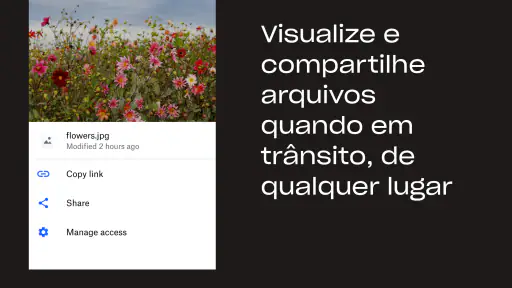 Dropbox: Armazenamento seguro screenshot