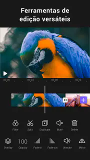 Editor de Vídeo AI - VivaCut screenshot 2