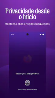 Firefox browser privado screenshot 3