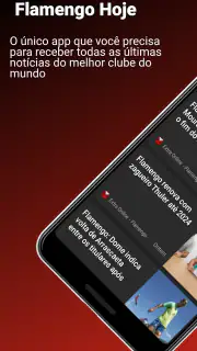 Flamengo Hoje screenshot 8