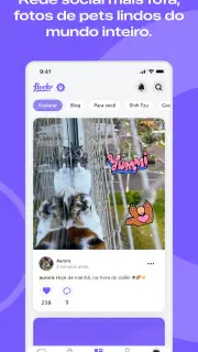 Flockr - Pets com mais saúde screenshot 4