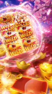 Fortune Tiger: Tigrinho Hero screenshot 4